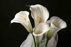 ai generato bianca nozze natura giglio bellezza fiorire pianta fiore flora calla. ai generato foto