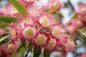 ai generato bellissimo gomma albero rosa fiori e mini cuffie. ai generato foto