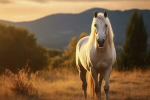 ai generato bianca cavallo o cavalla nel il montagne a tramonto. ai generato foto