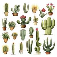 ai generato il cactus impostato su bianca sfondo. clipart illustrazioni. ai generato foto