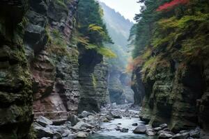 ai generato un' bellissimo canyon. ai generato foto