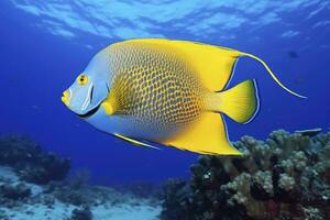 ai generato bellissimo squatina nel il oceano. ai generato foto