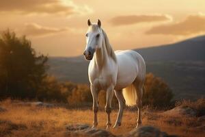 ai generato bianca cavallo o cavalla nel il montagne a tramonto. ai generato foto