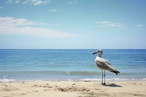 ai generato gabbiano su il spiaggia sotto blu cielo. foto