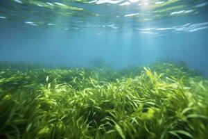 ai generato subacqueo Visualizza di un' gruppo di fondale marino con verde erba marina. ai generato foto