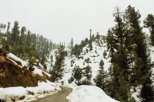 malam jabba e kalam swat paesaggi paesaggistici foto