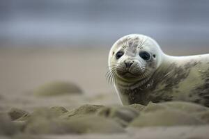 ai generato porto foca cucciolo. ai generato foto