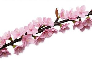 ai generato sakura fiori isolato su bianca sfondo. ai generato foto