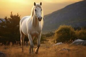 ai generato bianca cavallo o cavalla nel il montagne a tramonto. ai generato foto