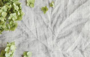 flatlay di ortensia verde su sfondo grigio tessile