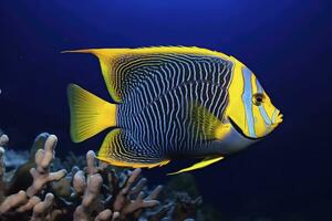 ai generato bellissimo squatina nel il oceano. ai generato foto