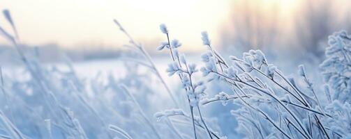 ai generato congelato nevoso erba, inverno naturale astratto sfondo. bellissimo inverno paesaggio. ai generato foto