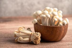 shimeji, funghi bunapi bianchi freschi dall'asia in ciotola di legno. foto