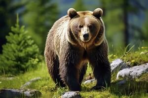 ai generato Marrone orso in movimento su il verde prato nel primavera natura. ai generato foto