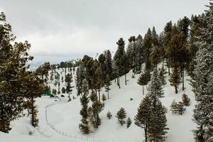 malam jabba e kalam swat paesaggi paesaggistici foto