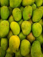 Mango frutta venduto nel il mercato foto