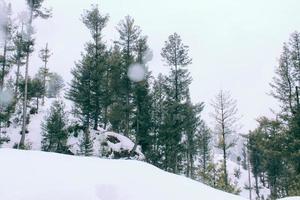 malam jabba e kalam swat paesaggi paesaggistici foto