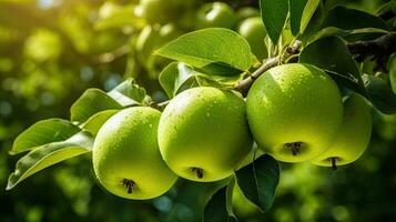 ai generato fresco verde Mela su il campo con leggero esposizione foto