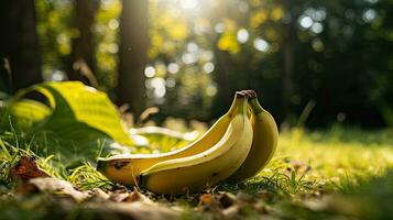 ai generato Banana su il campo con leggero esposizione ai generativo foto