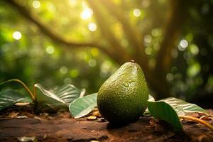 ai generato ritratto avocado su il campo con leggero esposizione ai generativo foto