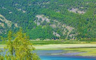 l'acqua di fusione turchese scorre nel fiume attraverso il paesaggio delle montagne della Norvegia foto