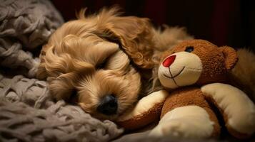 ai generato carino cane dorme su un' morbido cuscino. il cucciolo dorme nel un abbraccio con morbido giocattolo foto