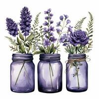 ai generato collezione di acquerello muratore barattoli con viola fiori clipart. ai generato foto