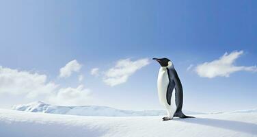 ai generato pinguino in piedi nel Antartide guardare in il blu cielo. ai generato foto