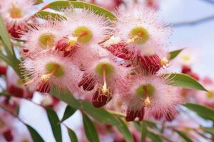 ai generato bellissimo gomma albero rosa fiori e mini cuffie. ai generato foto