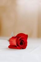 ripresa verticale di una rosa rossa su un tavolo bianco foto