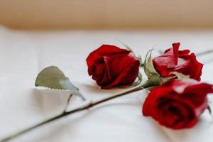 primo piano di rose rosse su un tavolo bianco