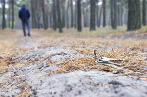 un' mazzo di Casa chiavi e un' auto abbattere su un' foresta sentiero quando un' uomo camminava attraverso il foresta. foto