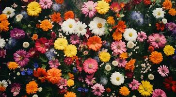 ai generato campo di fiori, fiori nel il campo, colorato fiori sotto il cielo, colorato fiori, fiori campo foto