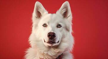 ai generato cane su il astratto sfondo, cane viso, avvicinamento di cane viso, cane ritratto su sfondo, guardare cane foto