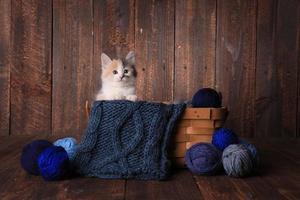 gattino in un cesto di filati per maglieria su sfondo di legno