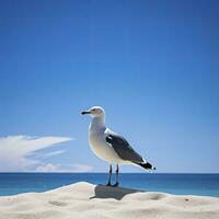 ai generato gabbiano su il spiaggia sotto blu cielo. foto