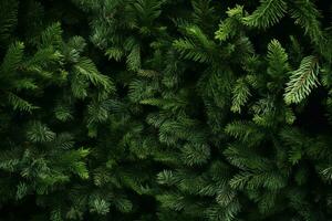 ai generato Natale albero rami naturale sfondo naturale fondale per il tuo design piatto posare copia spazio foto