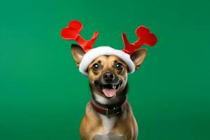 ai generato ritratto di un' carino cucciolo indossare un' Natale renna fascia per capelli foto