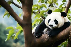 ai generato carino bianca e nero panda orso si siede su un' albero con verde le foglie. foto