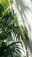 ai generato tropicale palma le foglie su un' bianca parete. naturale sfondo foto