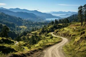 ai generato a il bordo di il foresta avvolgimento strada tratti indietro professionale fotografia foto