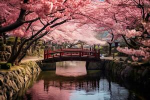 ai generato ciliegia fiorire nel giapponese giardino con rosso di legno ponte, ai generato foto
