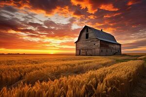 ai generato drammatico tramonto al di sopra di un vecchio fienile nel un' Grano campo, ai generato foto