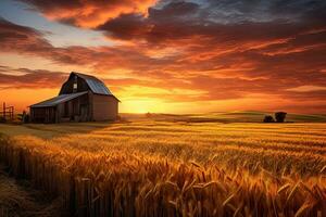 ai generato drammatico tramonto al di sopra di un vecchio fienile nel un' Grano campo, ai generato foto