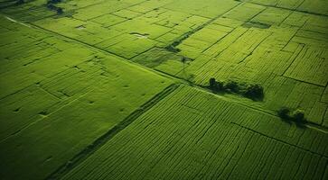 ai generato panoramico aereo Visualizza di i campi e erba foto