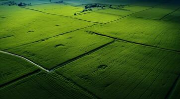 ai generato panoramico aereo Visualizza di i campi e erba foto