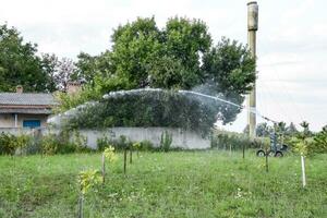 irrigazione sistema irrigazione nel il giardino. irrigazione il piantine nel il parco. irrigazione il campi. spruzzatore. foto