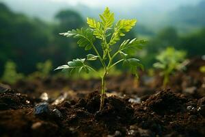 ai generato clima azione piantare un' nuovo albero per combattere e mitigare clima modificare ai generato foto