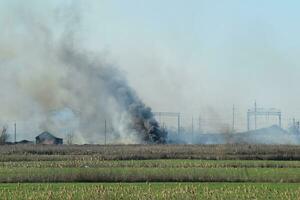 fuoco su irrigazione canali foto