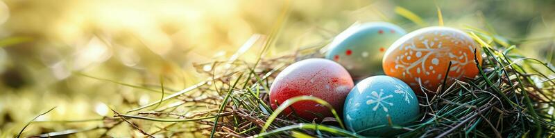 ai generato bandiera vivace Pasqua uova annidato nel un' illuminata dal sole nido, Perfetto per primavera vacanza temi, Pasqua sfondi, e festivo saluto carte foto